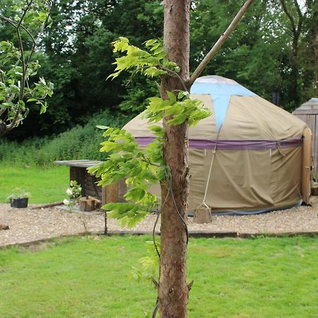 The Yurt At Worcesters Farm Canterbury Exterior photo